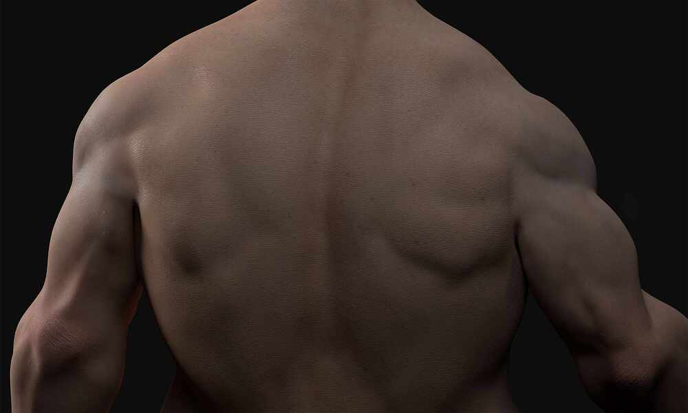 back_view