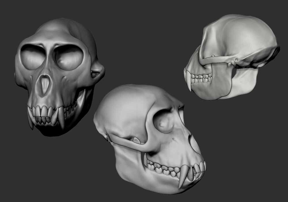 skull_zbrush