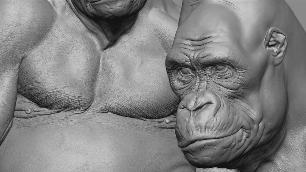 Gorilla_final_006_zbrush