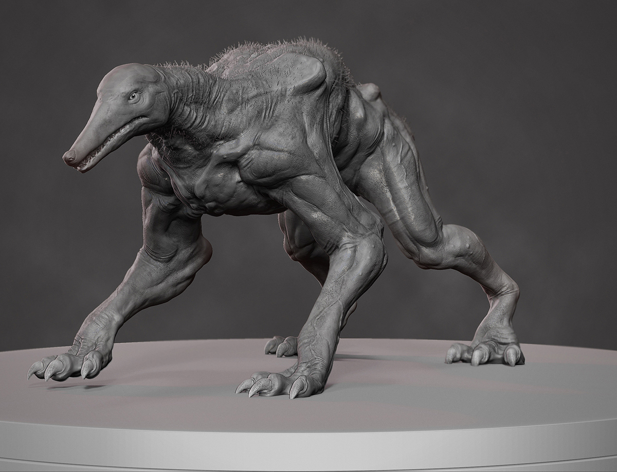 Hound_Front_mini.jpg