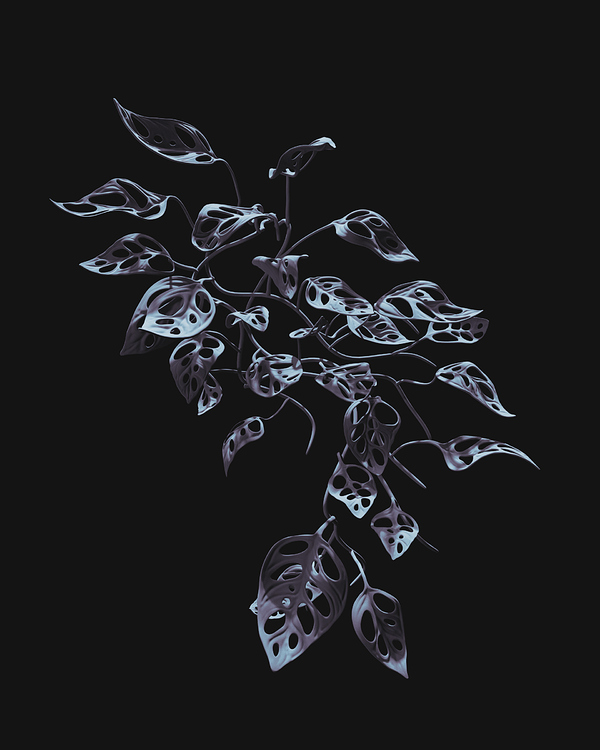 Monstera_SOLO_v02-4