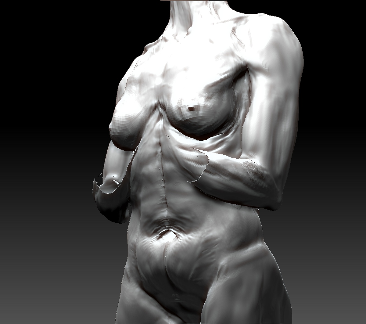 new torso work.jpg