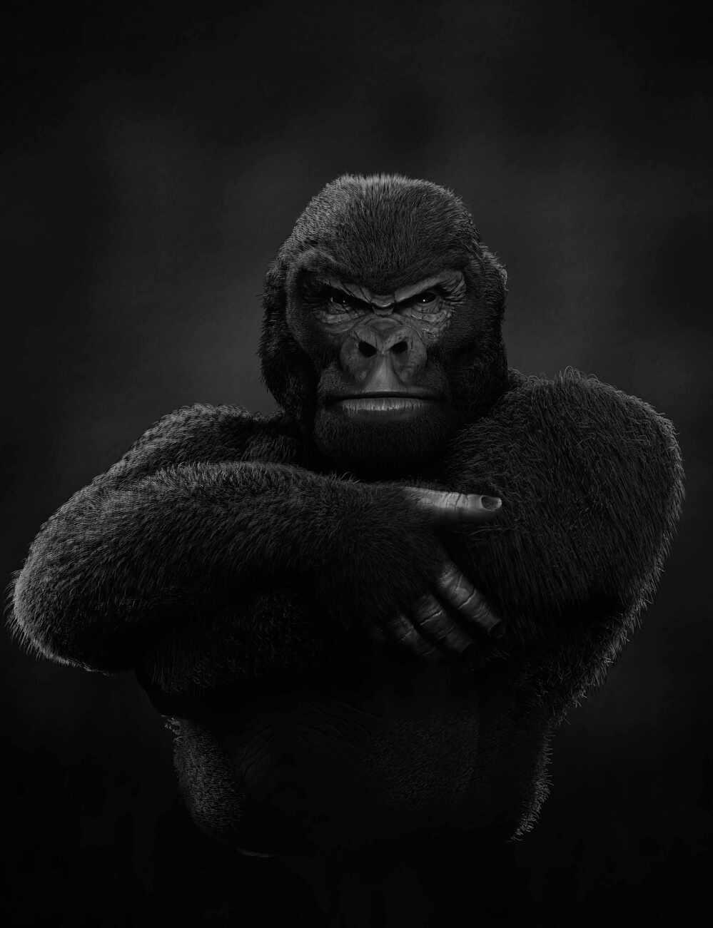 Gorilla_001_2022  BW(1)@0.5x@0.5x@0.5x