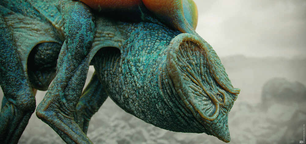 Terragaster_6
