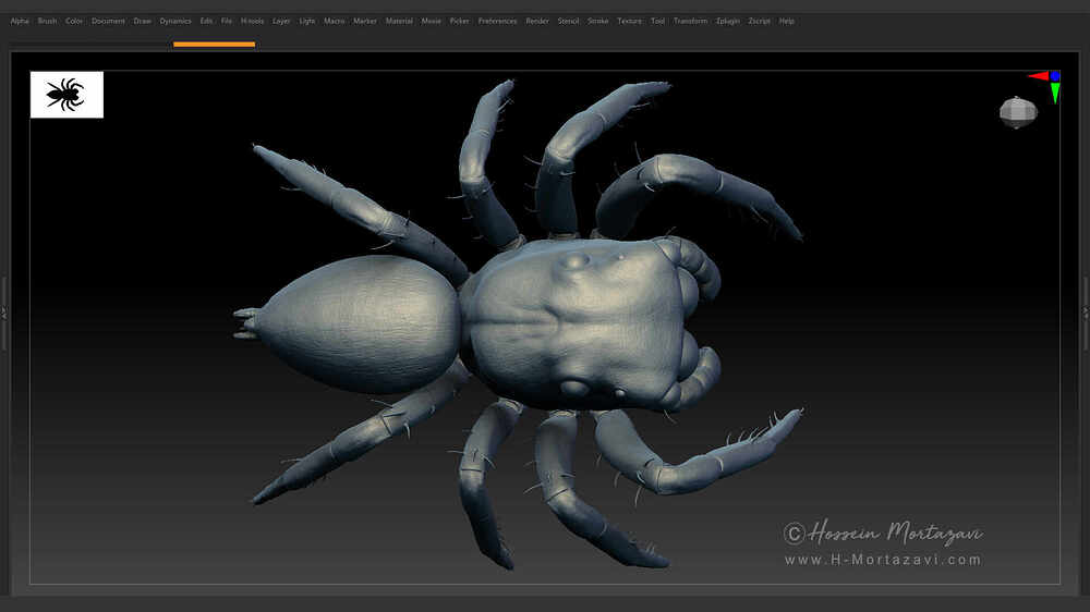 Jumping_Spider_WIP_01