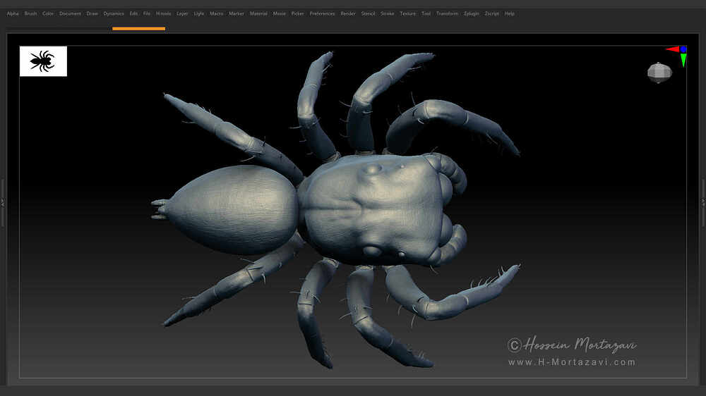 Jumping_Spider_WIP_01
