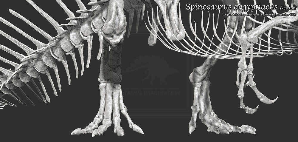 ZBrush Document5