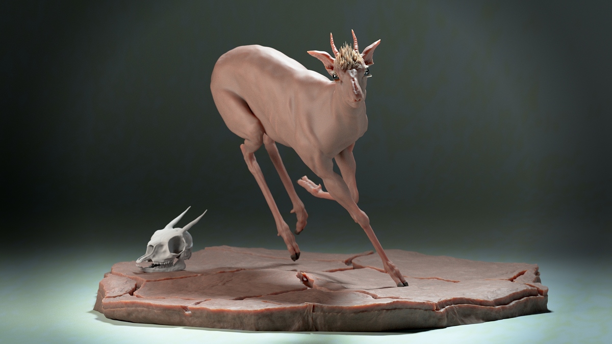 dikdik_Front_NoFur_HD
