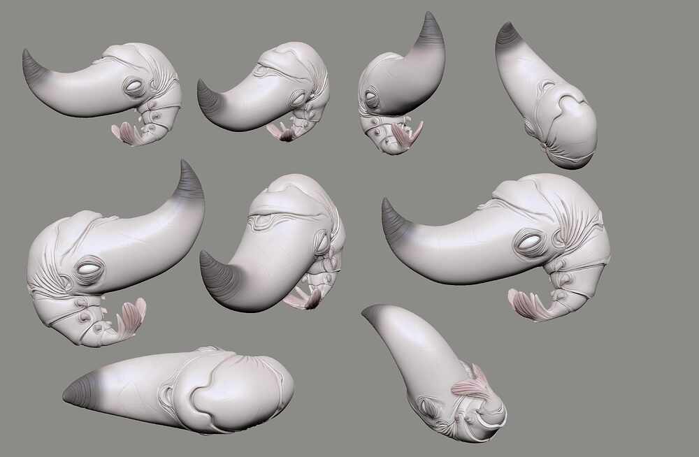 shrimp04