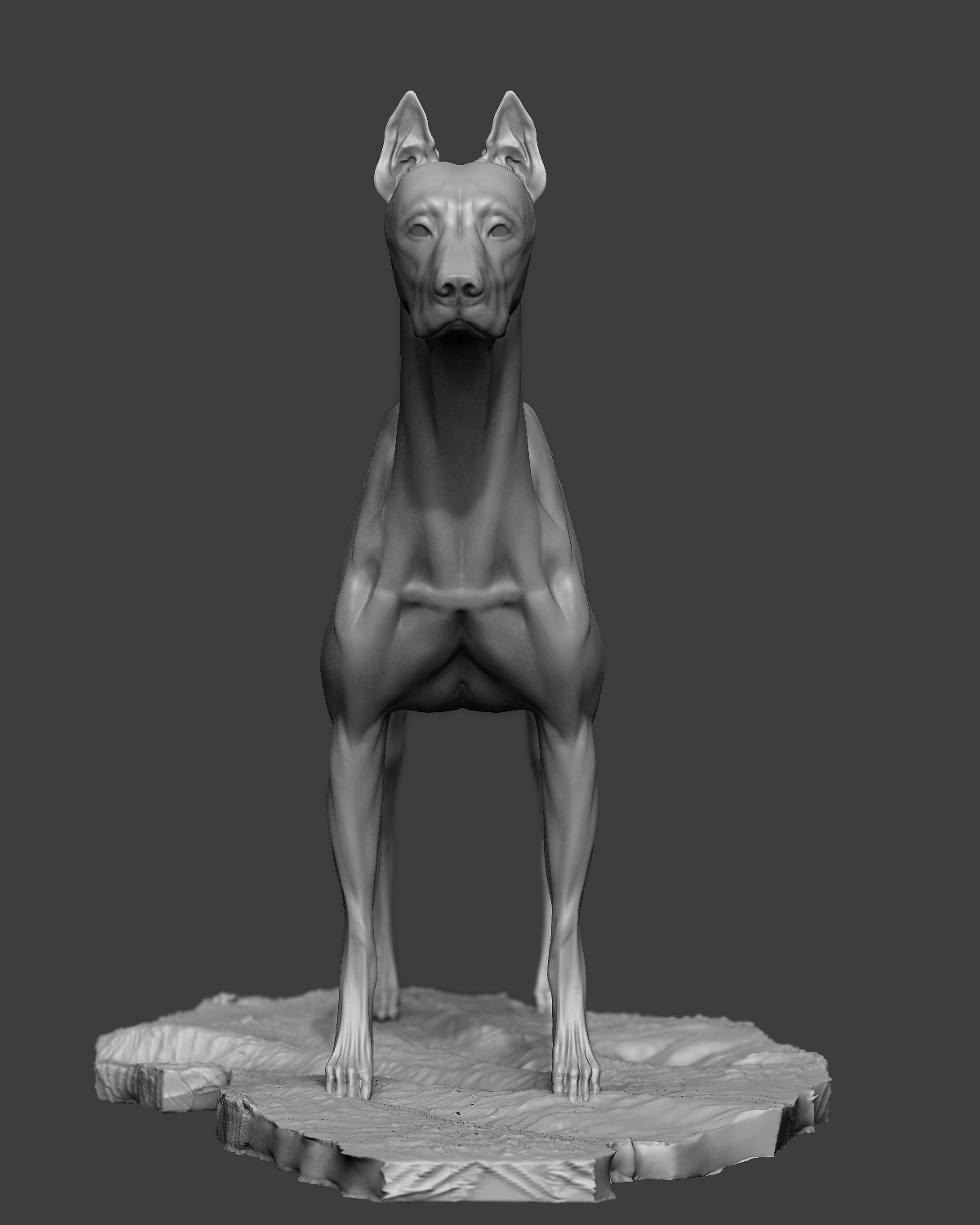 Dog_5.jpg