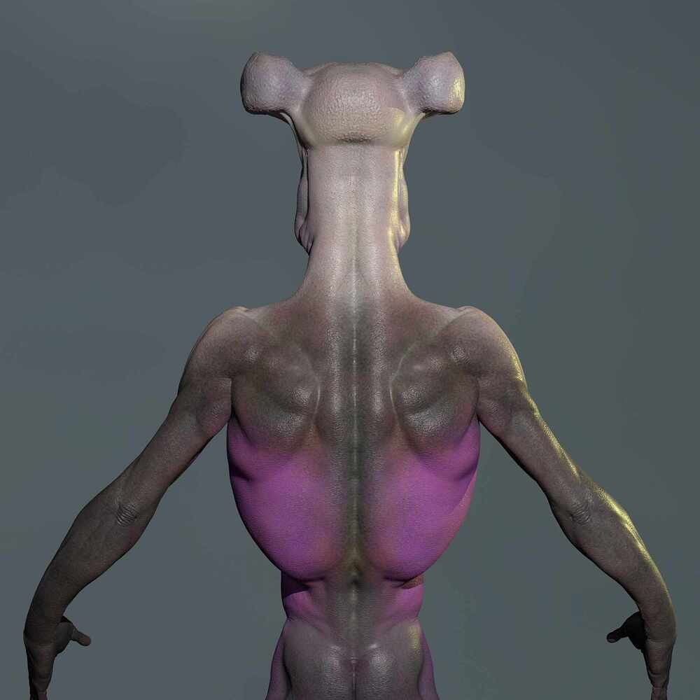 Untitled_Viewport_006