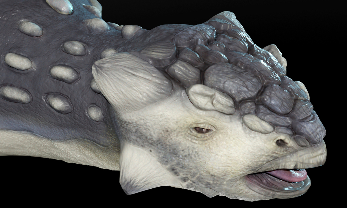 ankylosaurus02b