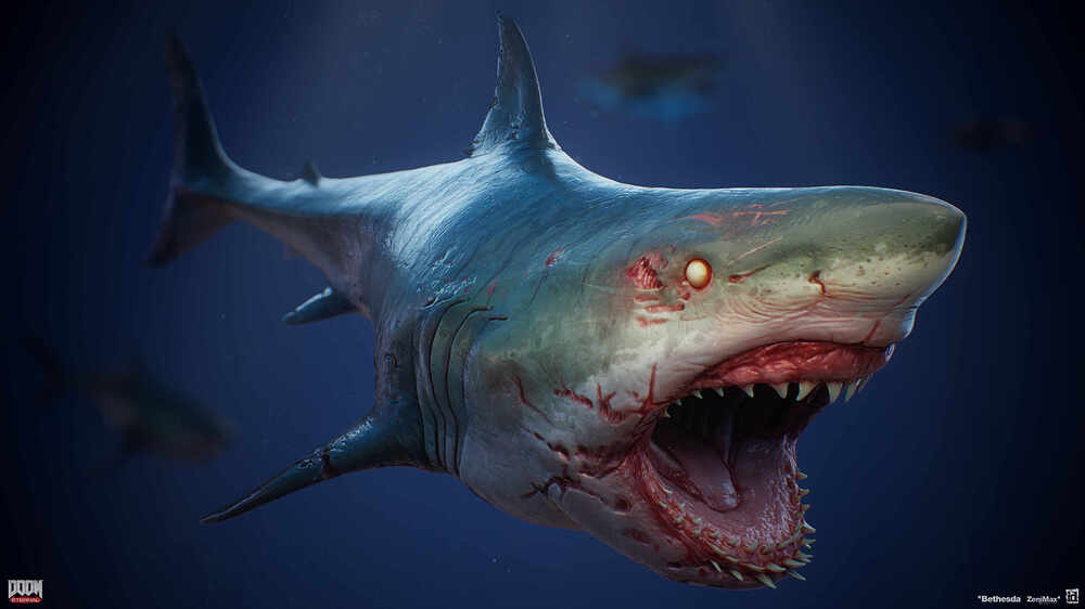 shark_01