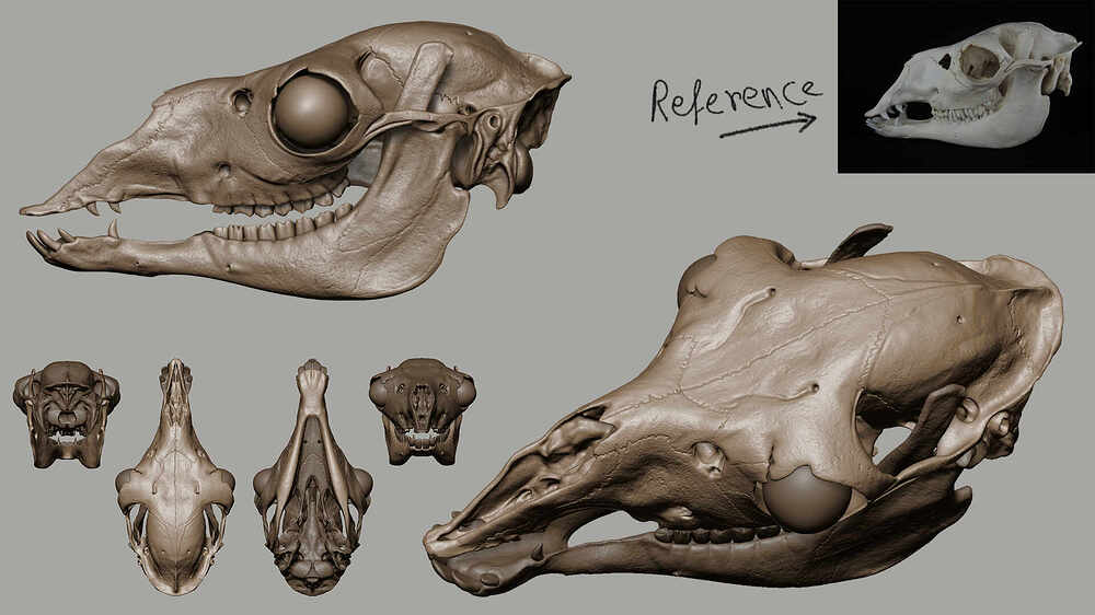 SKULL