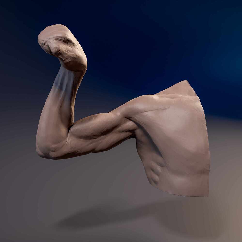 Arm_Pron_01