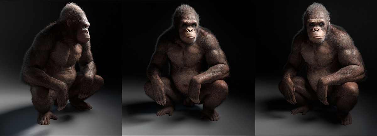 ApeHair_01