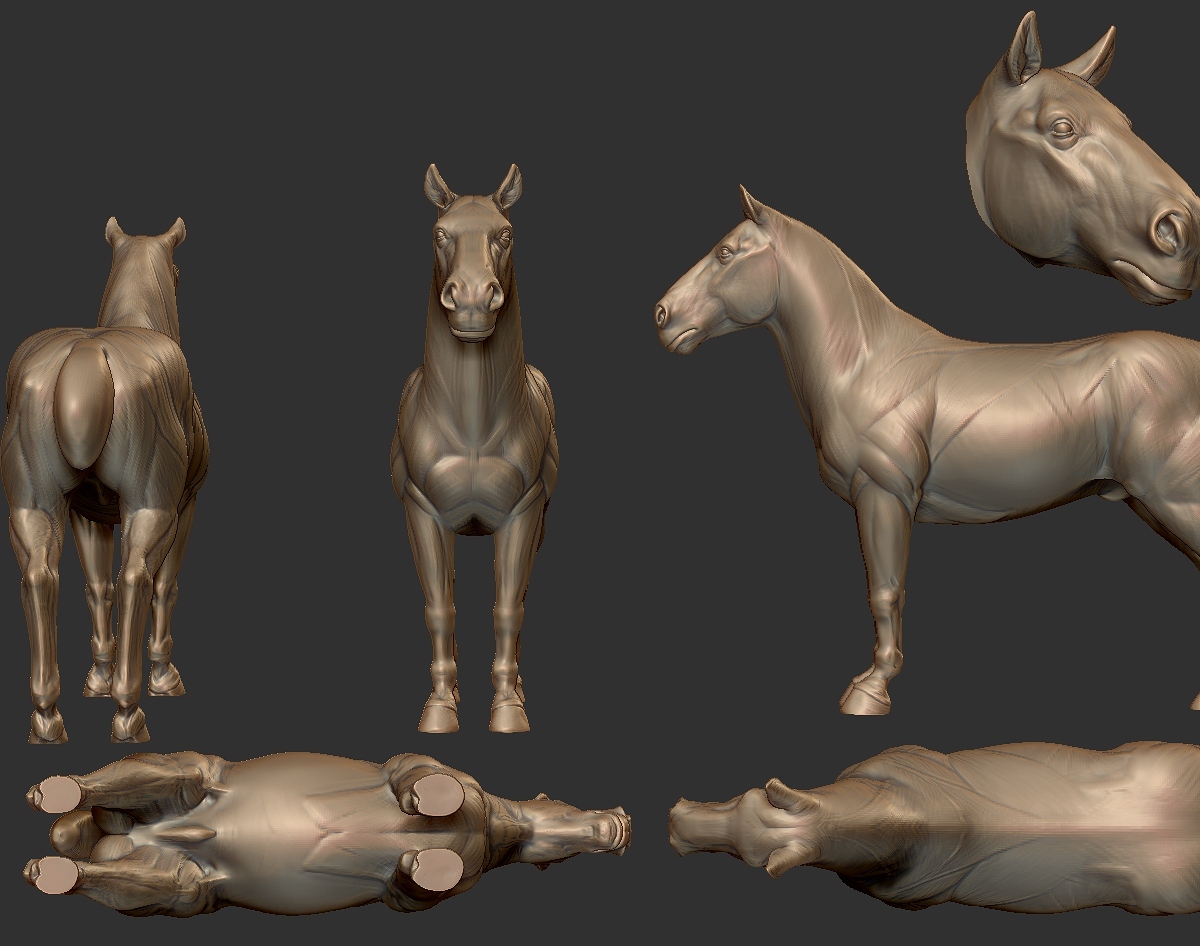bM_horsePreviews.jpg