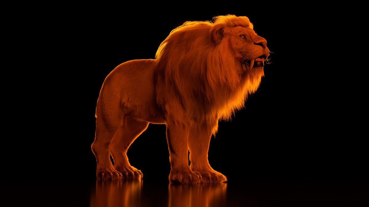 SaberTooth_Orange_Final