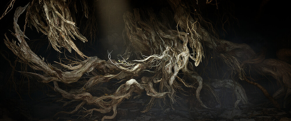Roots of the Haligtree