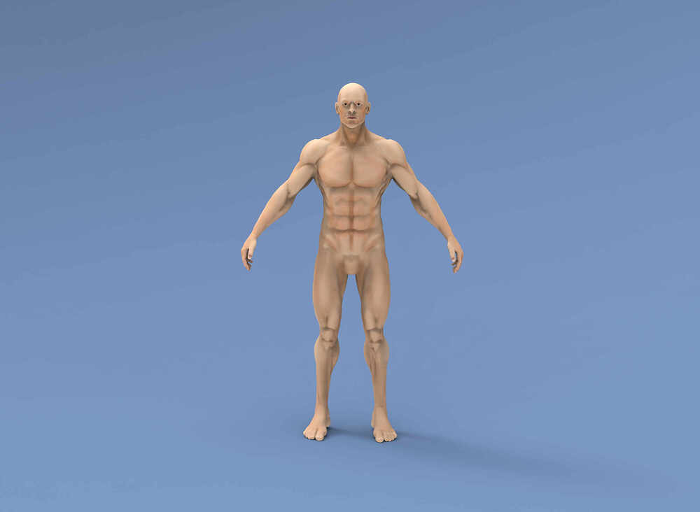 Base_Male_Render_COMPO