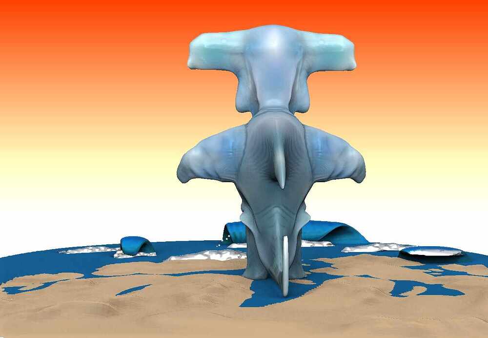 Sharkbulldogelephant back showing Jan 31 2023