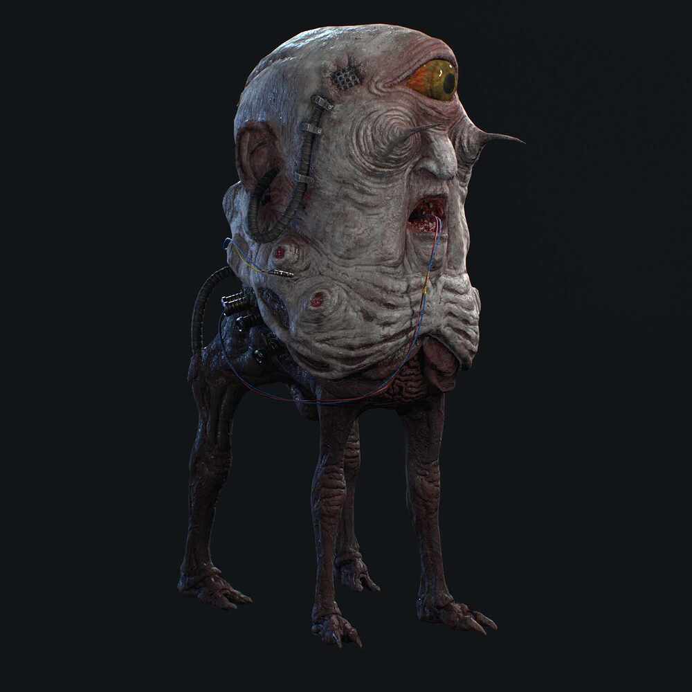 Gyo_Head_Render005_Viewport
