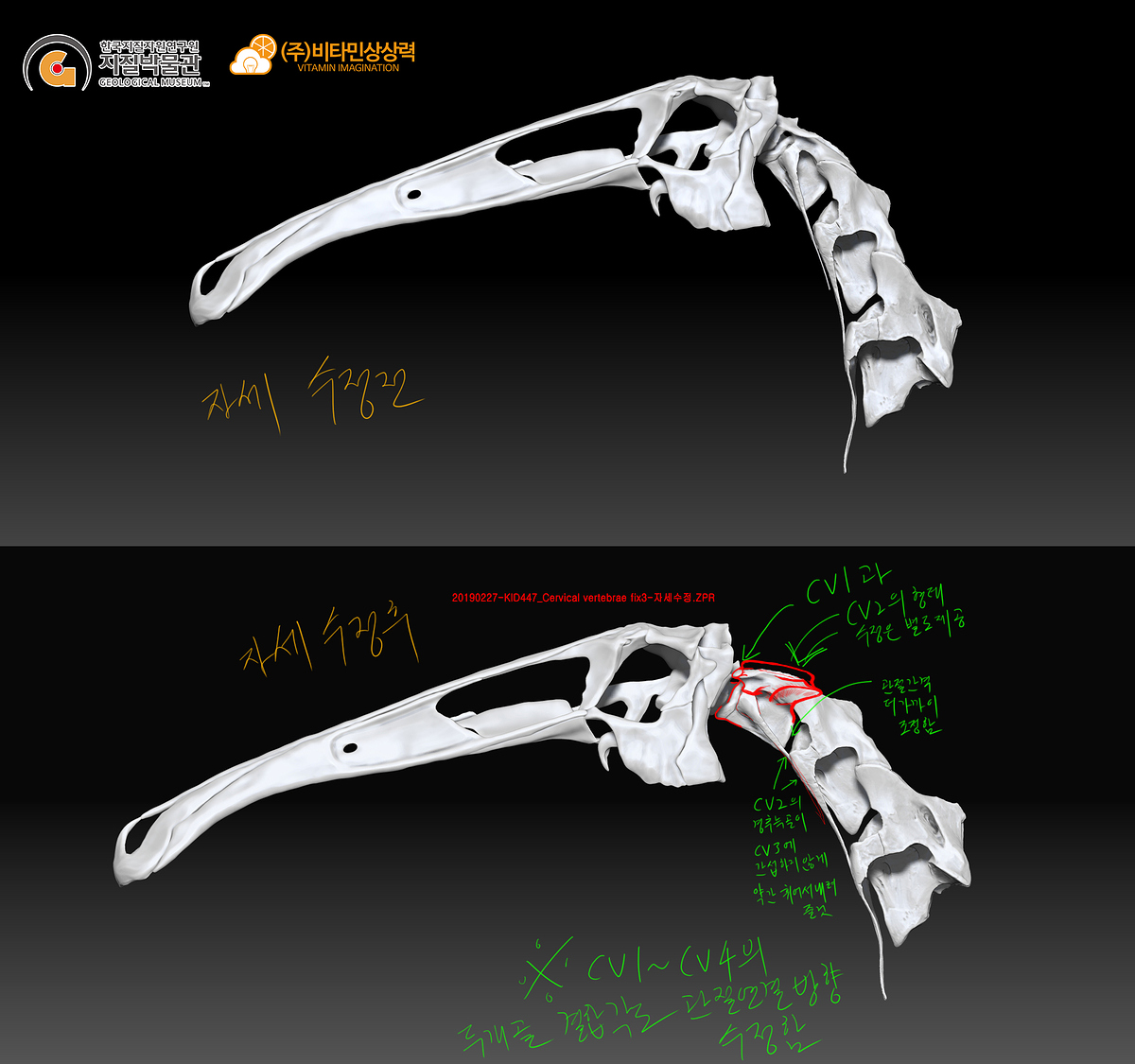 20190227-KID447_Cervical_vertebrae_fix3-CV1-4-Llat-%EC%88%98%EC%A0%95%EC%82%AC%ED%95%AD