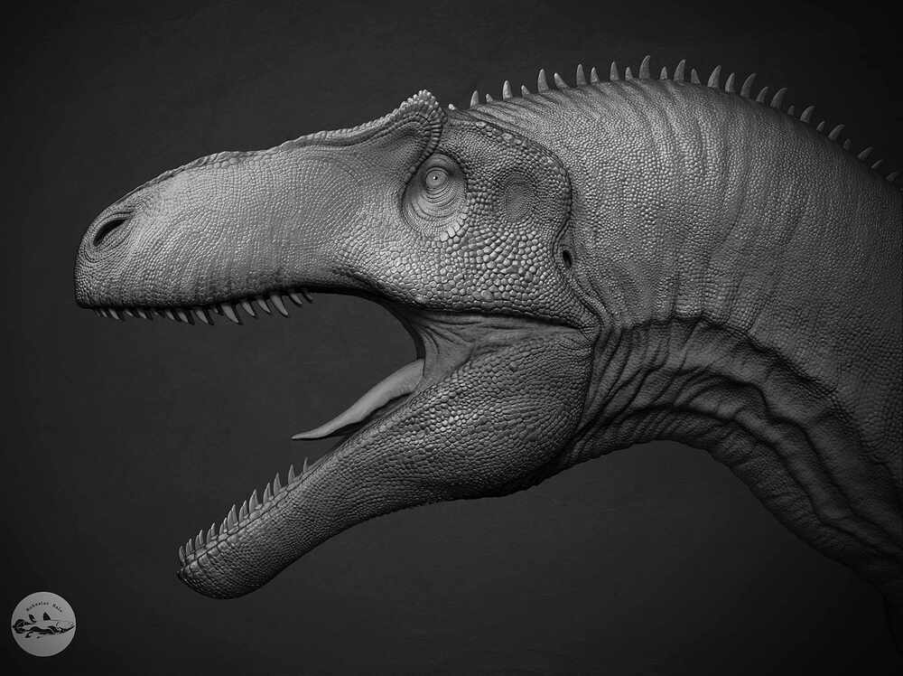 Render_0_001