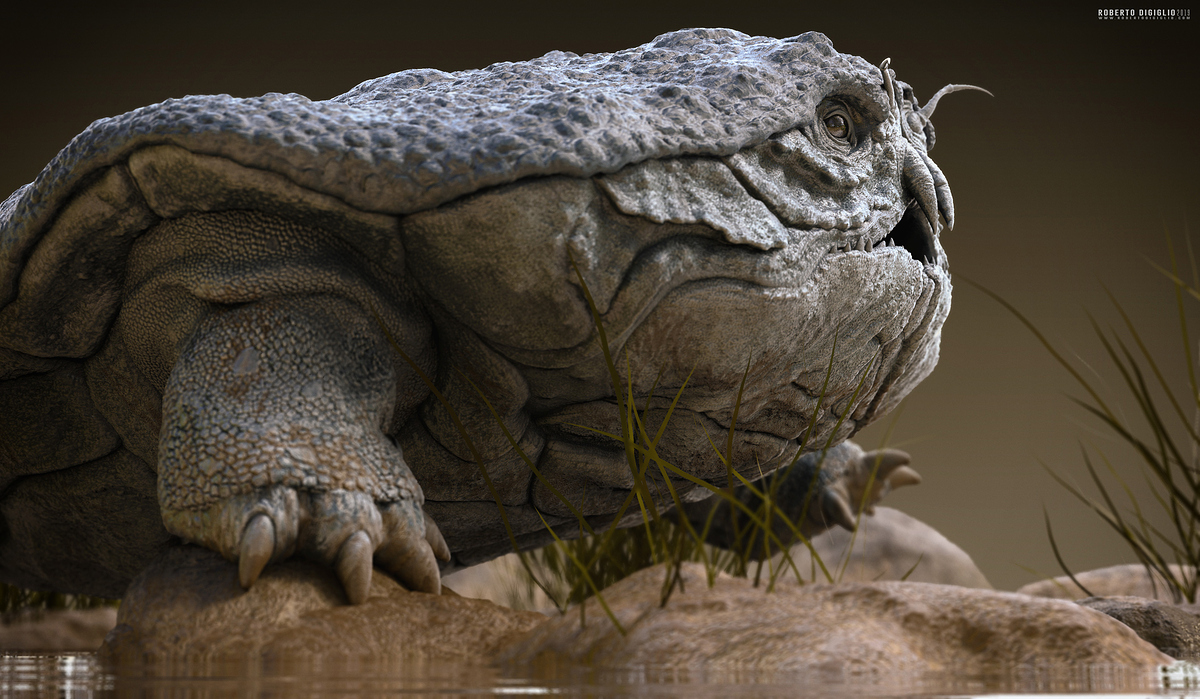 Cancericatus3