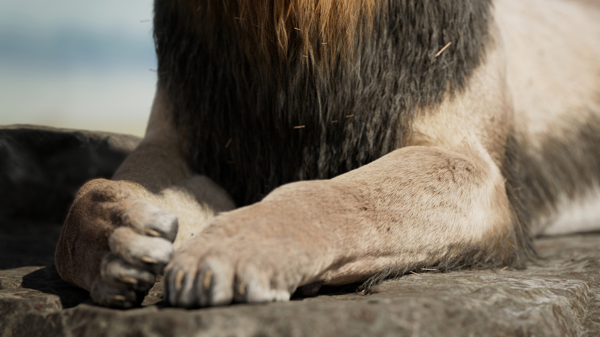 closeup_03