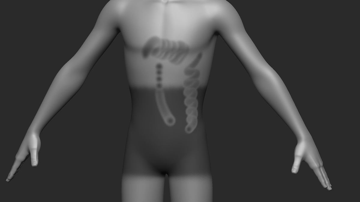 ZBrush Document