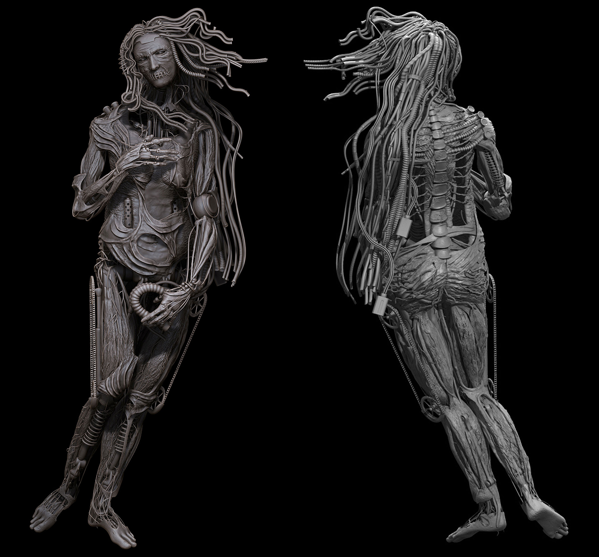 venere-sola-no-tex-2020