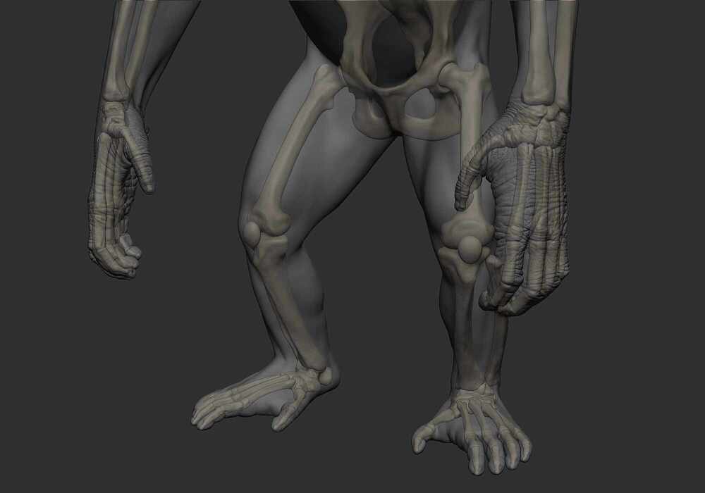 model_07