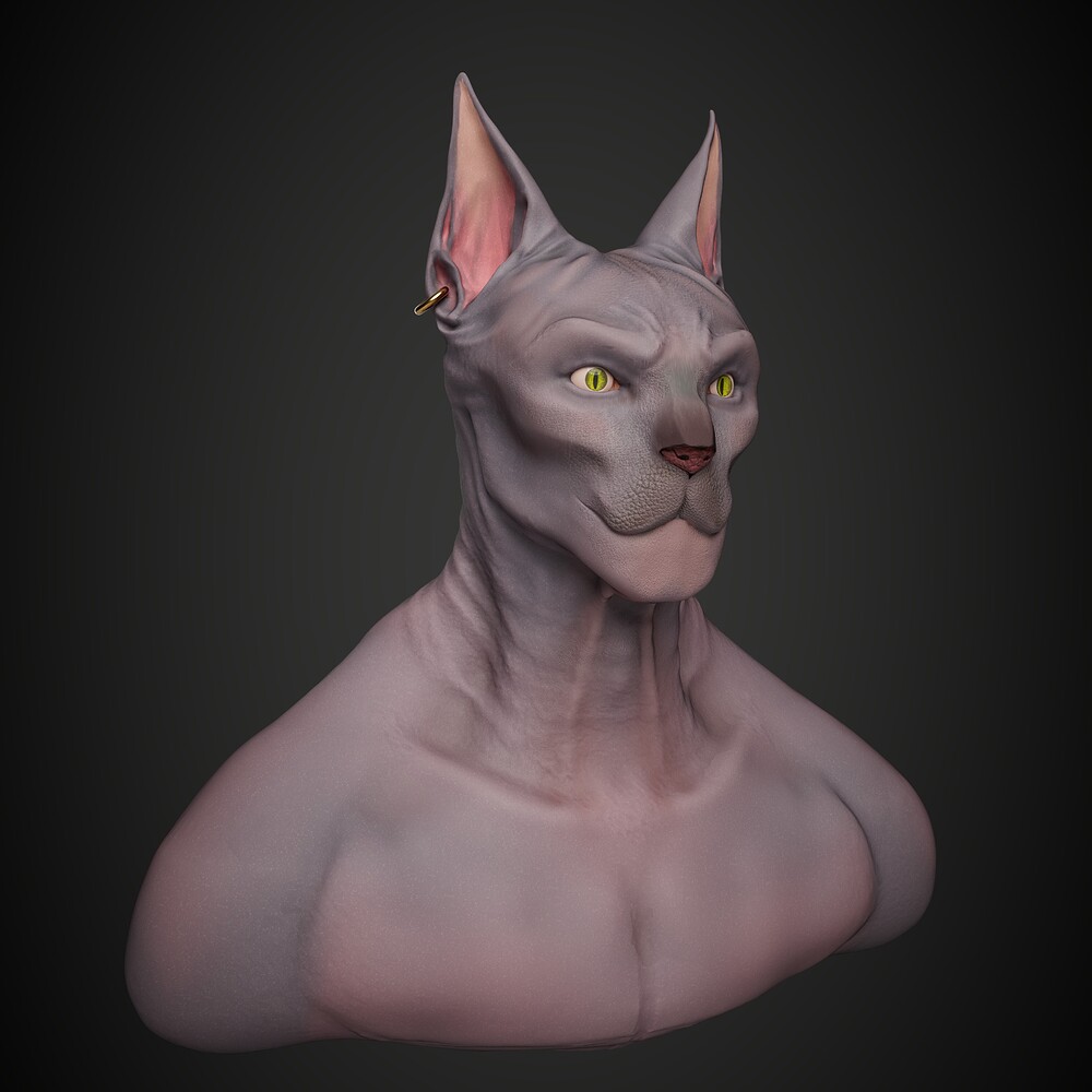 cat right