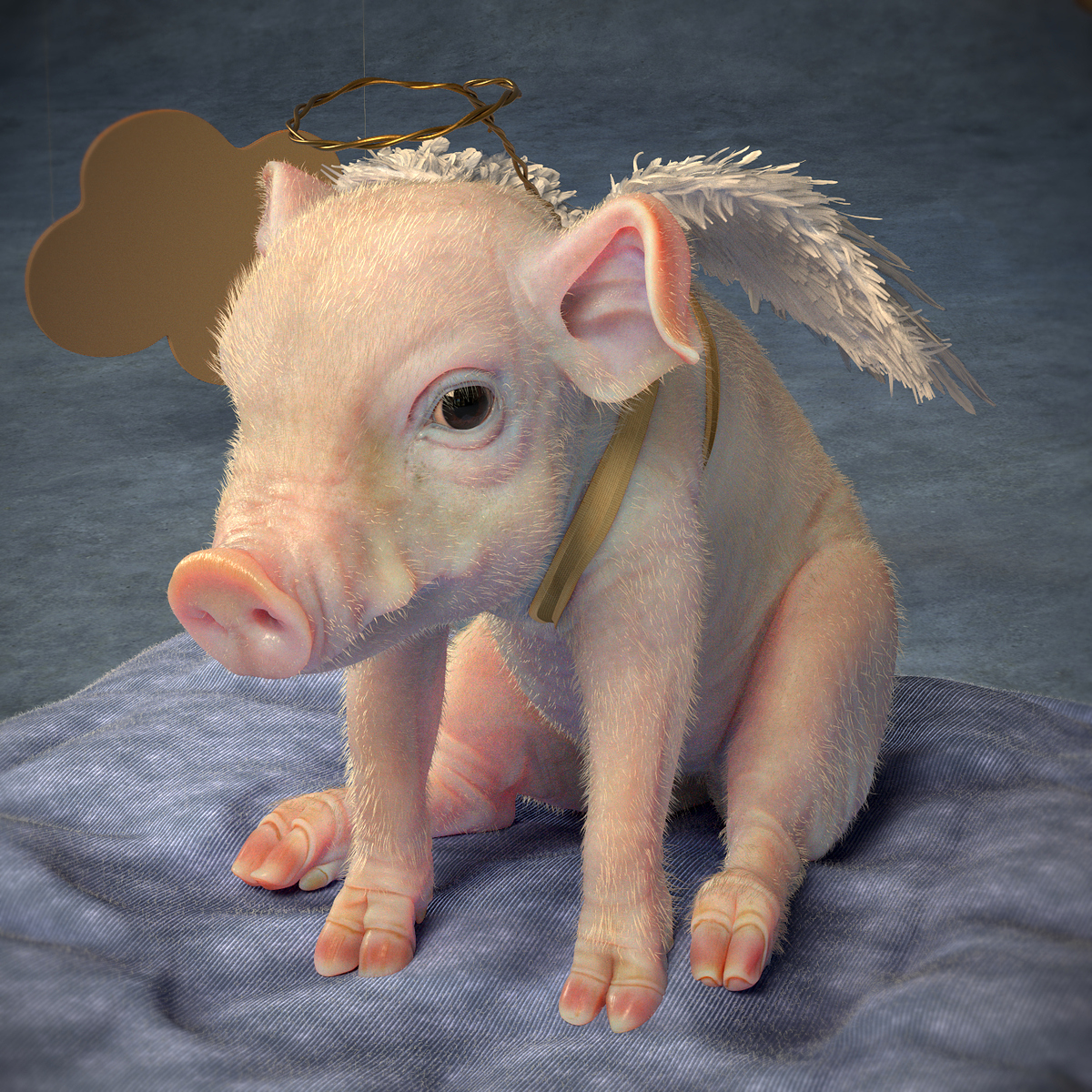LittlePig_1.0007