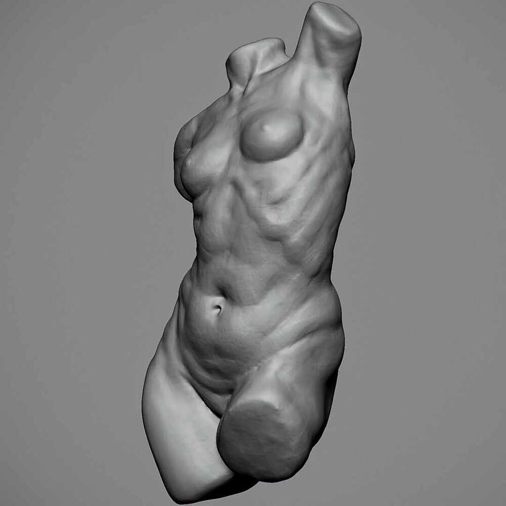 female-torso-3-4