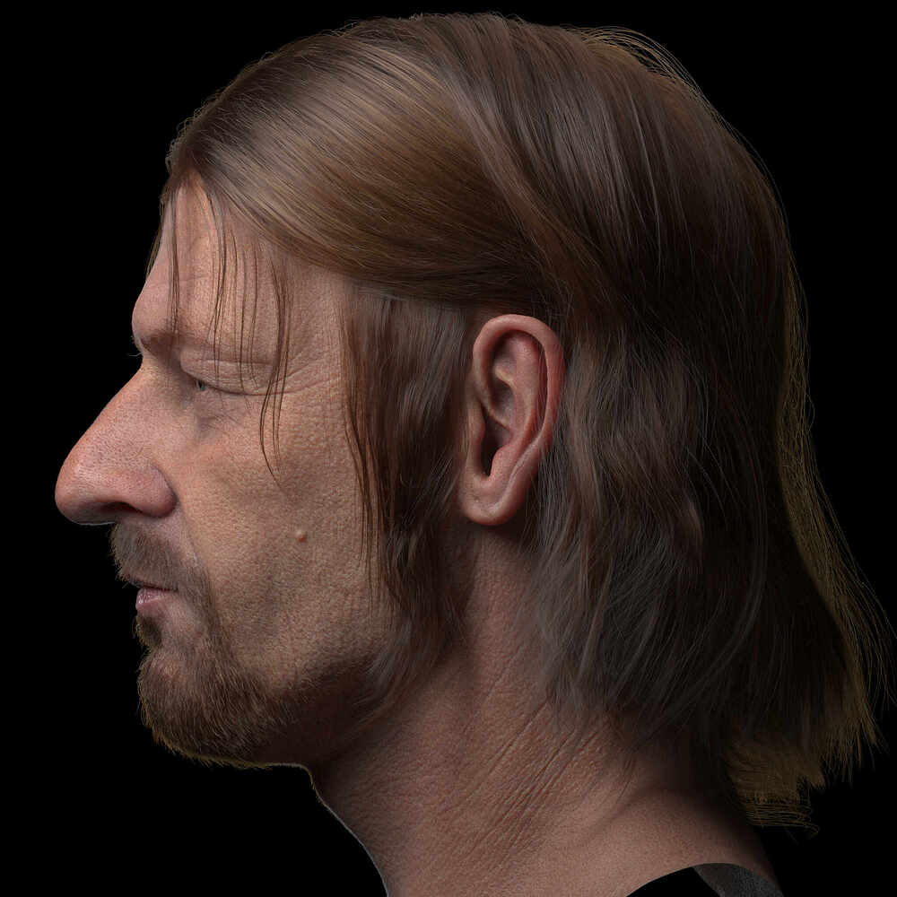 Bor_02