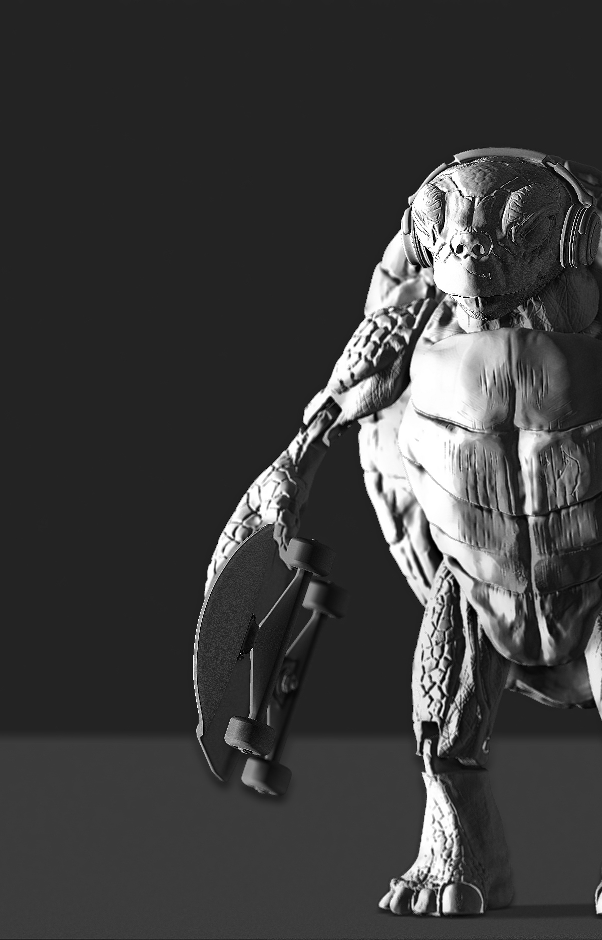 TurtleView7_v1.jpg