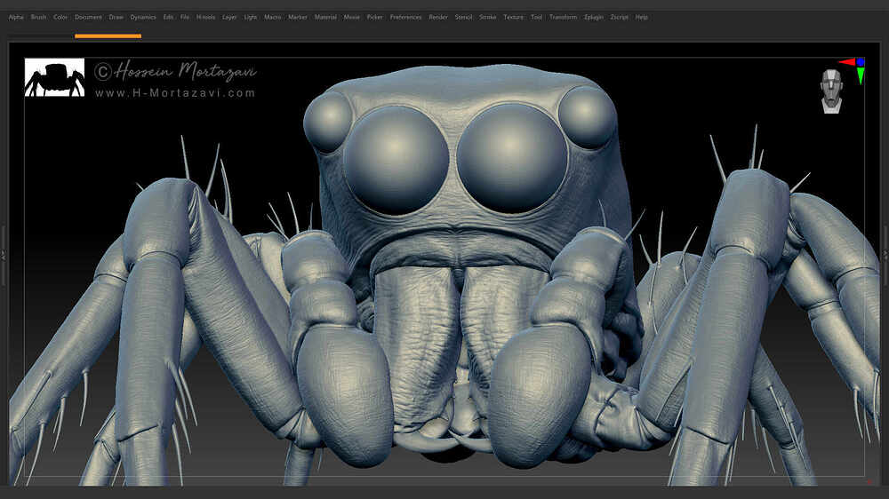 Jumping_Spider_WIP_05