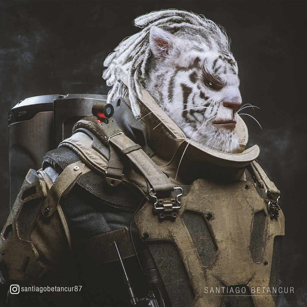 TIger_Instagram_01