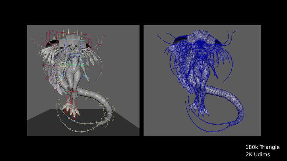 Prawn_Girl_010