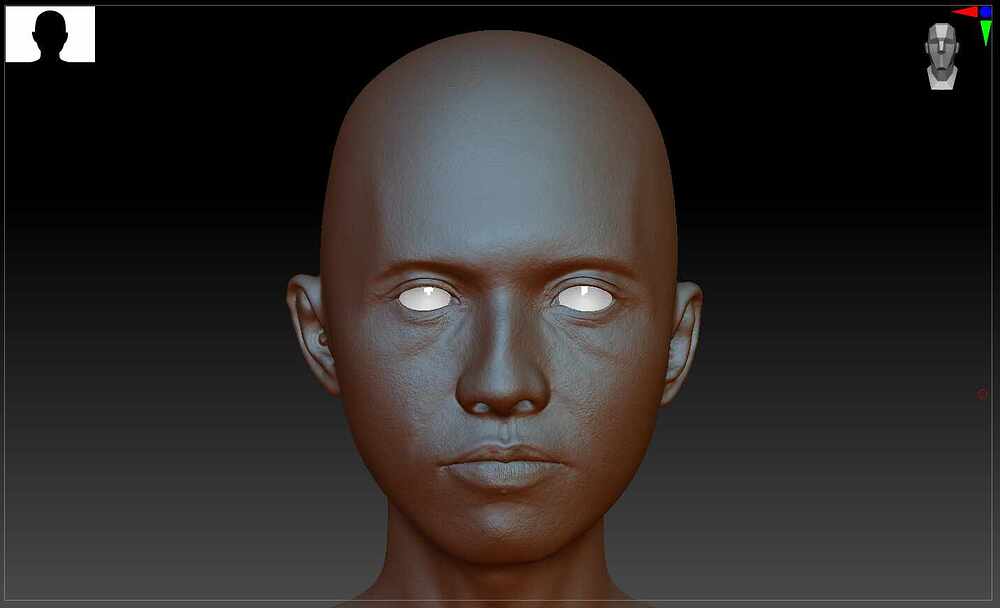 ZBRUSH 1