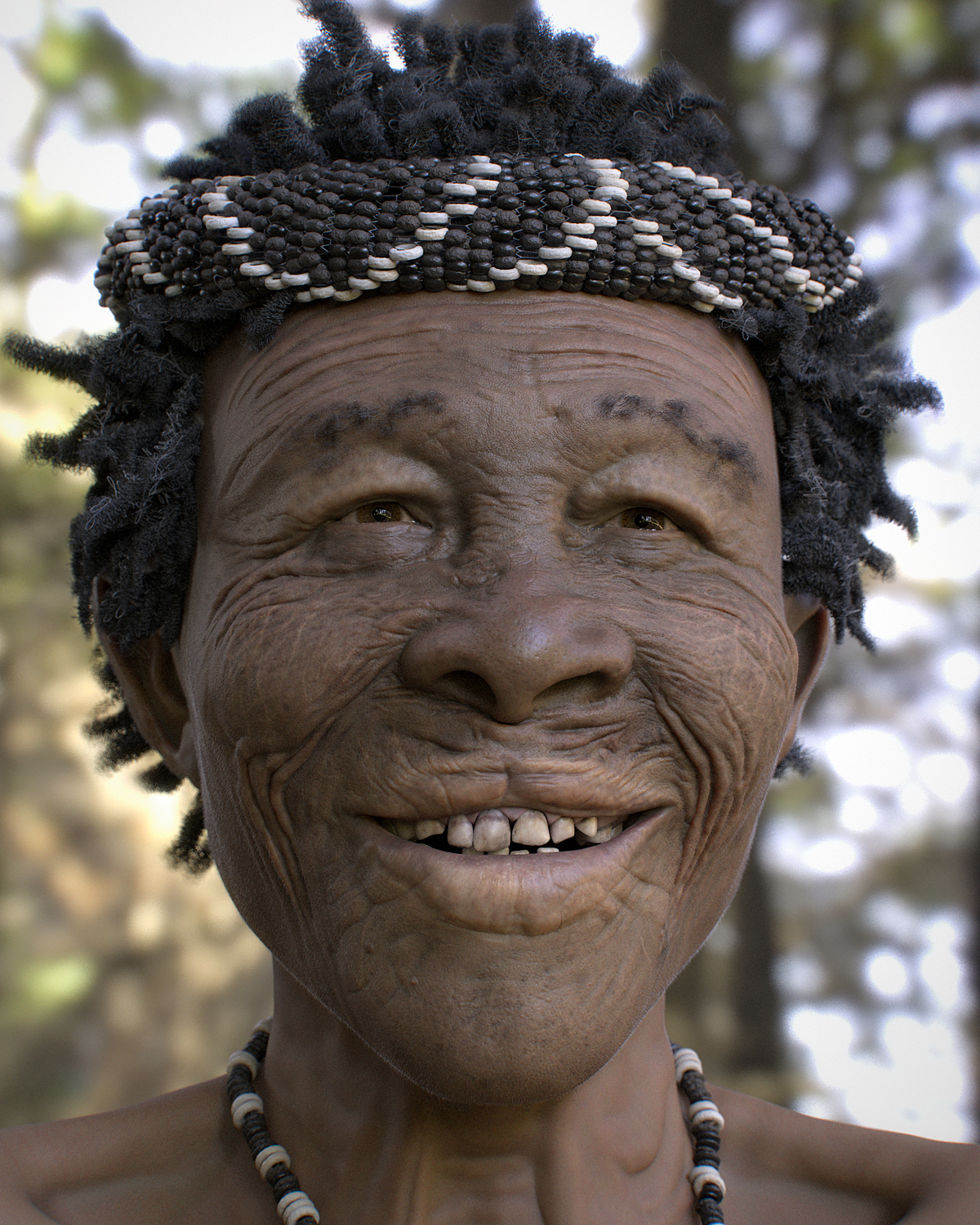 san_v15_woods.0004