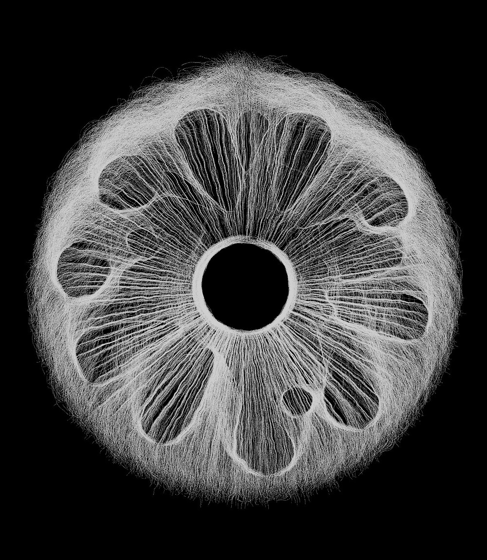 eye_002