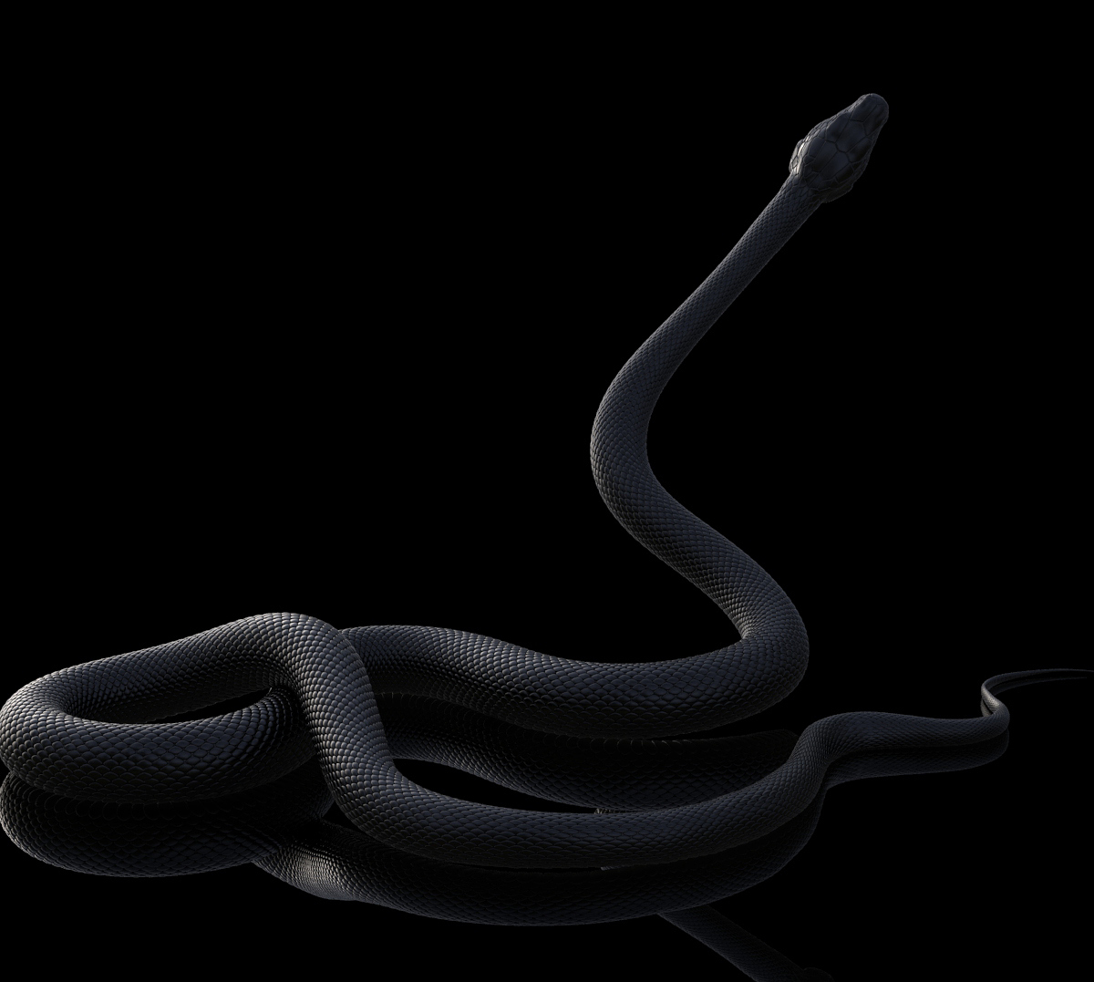snake test fini.jpg