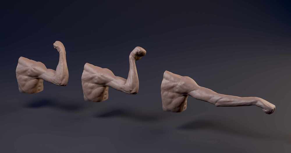Arm_All_02
