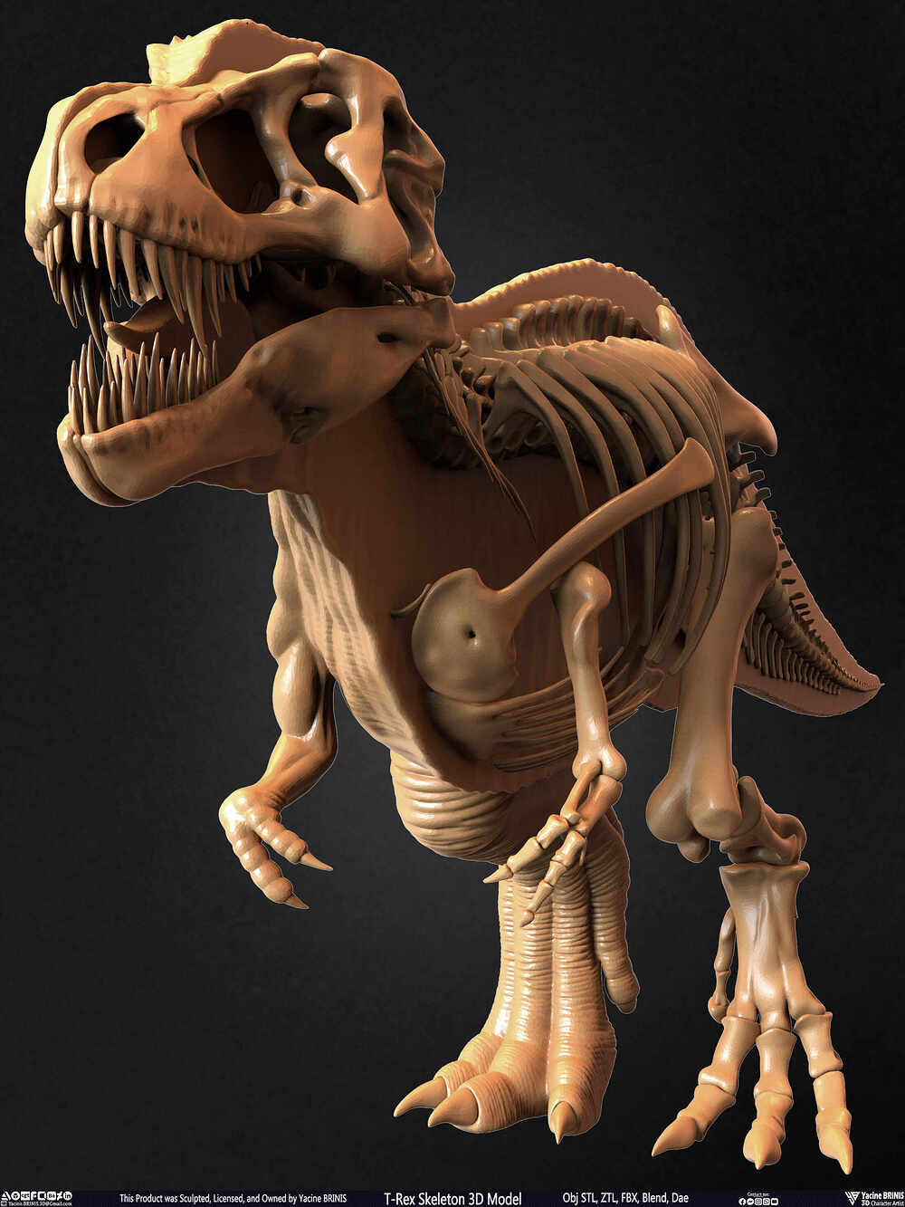 T-Rex Skeleton 3D Model (Tyrannosaurus Rex) Sculpted By Yacine BRINIS Set 045