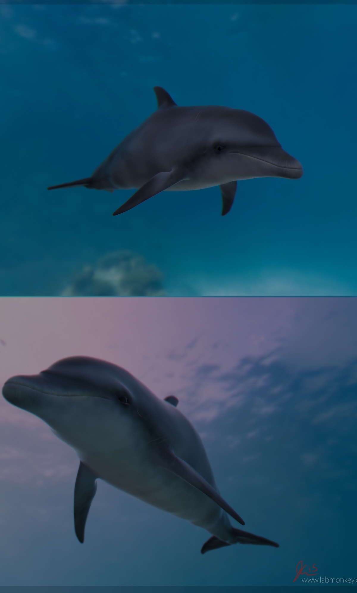 render.jpg
