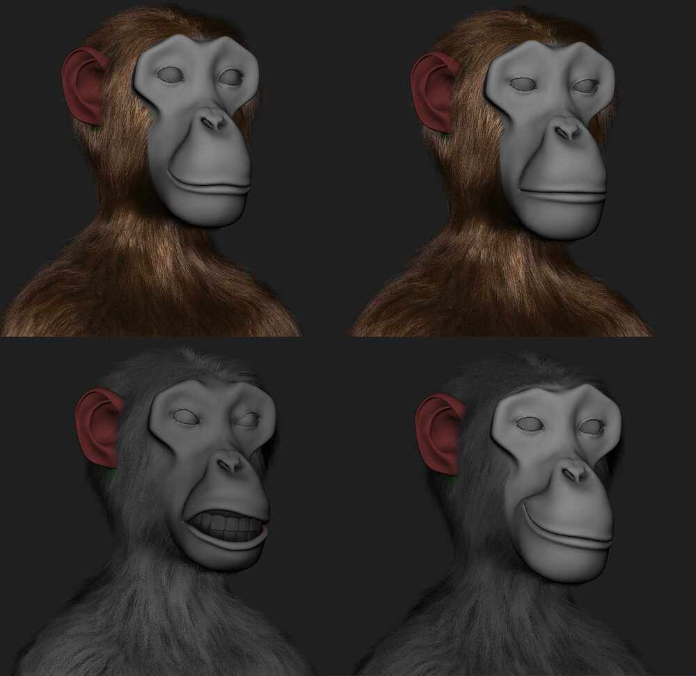 Antoine_Apes_Expression