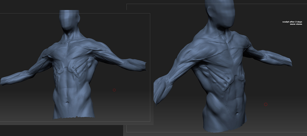beesub_WIP_sC.jpg
